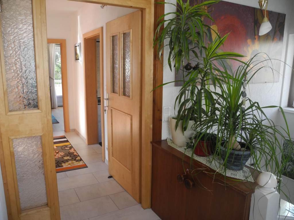Haus Herzog Matrei in Osttirol Dış mekan fotoğraf